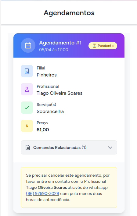 Histórico de atendimentos do cliente no PagBy